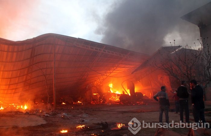 Bursa'da büyük yangın!