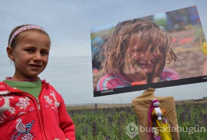 Tarlada fotoğraf sergisi!