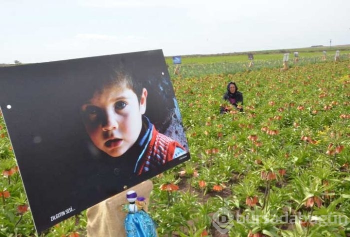 Tarlada fotoğraf sergisi!