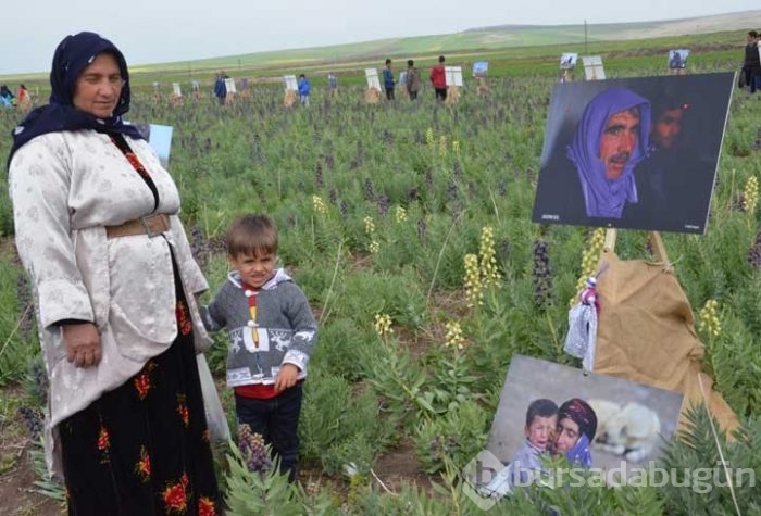Tarlada fotoğraf sergisi!
