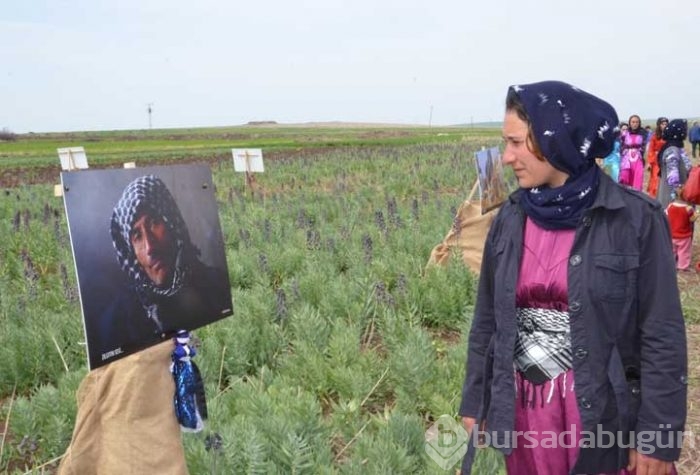 Tarlada fotoğraf sergisi!