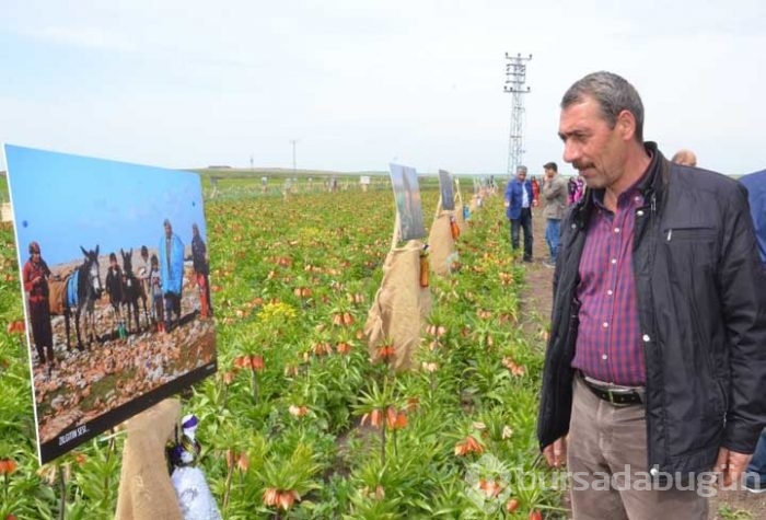 Tarlada fotoğraf sergisi!
