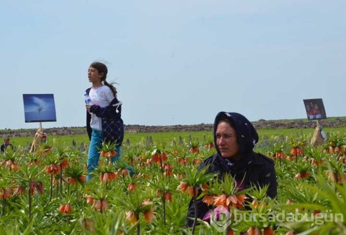 Tarlada fotoğraf sergisi!