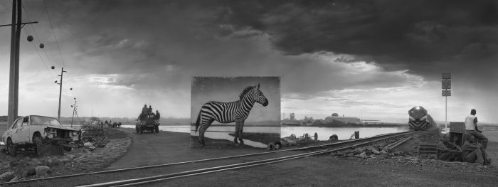 Burada bir zamanlar bir zebra yaşardı