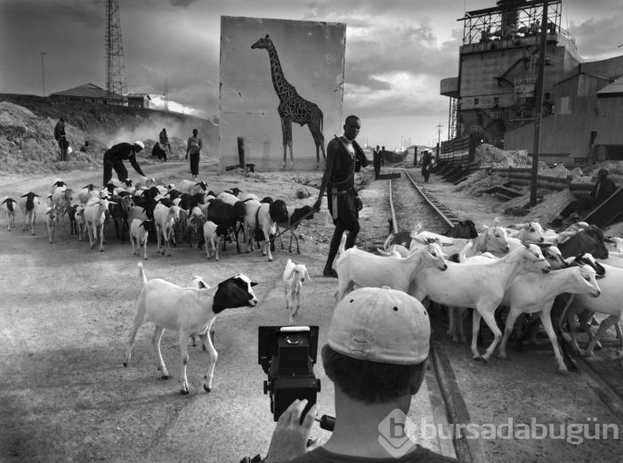 Burada bir zamanlar bir zebra yaşardı