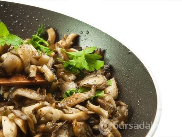 Kuzu göbeği mantarı sezonu açıldı