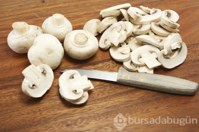 Kuzu göbeği mantarı sezonu açıldı