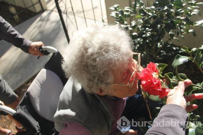 90 yaşında kanser olduğunu öğrenince bakın ne yaptı?