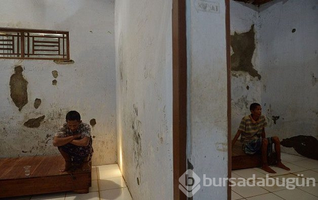 18 bin hasta zincire vurulmuş halde yaşıyor