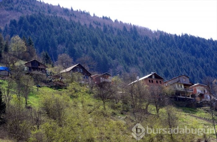 Maçka, turistleri bekliyor