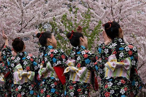 Japonya'da kiraz çiçeği zamanı