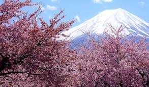 Japonya'da kiraz çiçeği zamanı