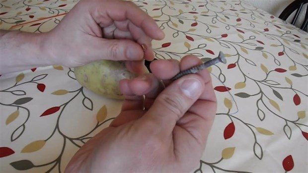 Patatesten oyuncak araba yaptı