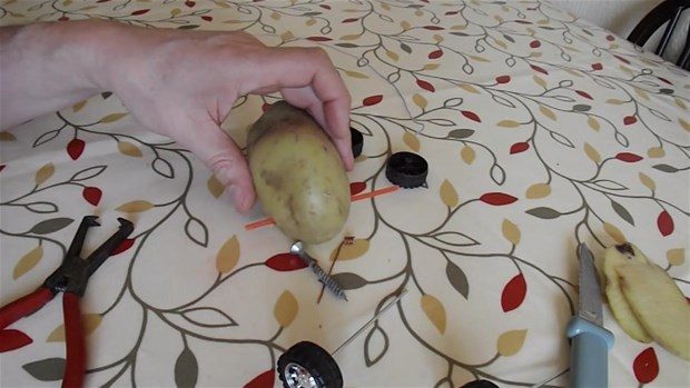 Patatesten oyuncak araba yaptı