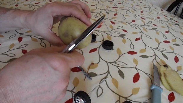 Patatesten oyuncak araba yaptı