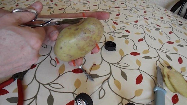 Patatesten oyuncak araba yaptı