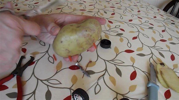 Patatesten oyuncak araba yaptı