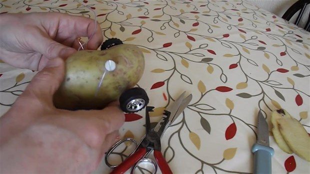 Patatesten oyuncak araba yaptı