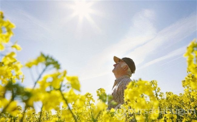 D vitamini kalp yetmezliğine çare olabilir