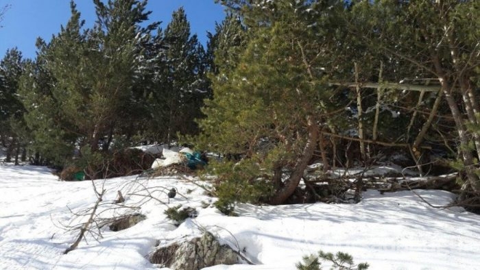 Erzurum'da terör örgütüne darbe! Sığınaklar imha edildi