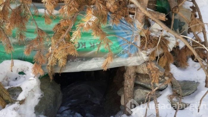 Erzurum'da terör örgütüne darbe! Sığınaklar imha edildi