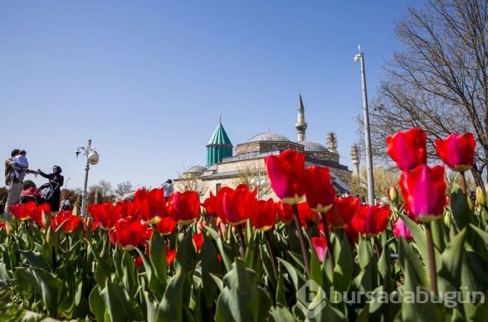 Mevlana şehrinde üç aylar sevinci