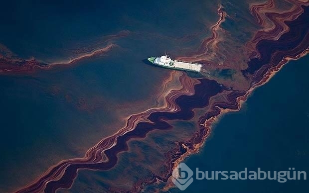 BP'nin tarihi felaketinin cezası belli oldu