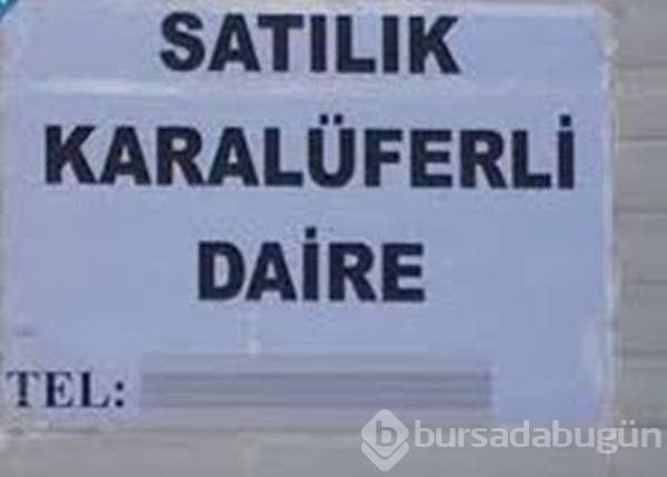 Yurdum insanı yine yaptı yapacağını