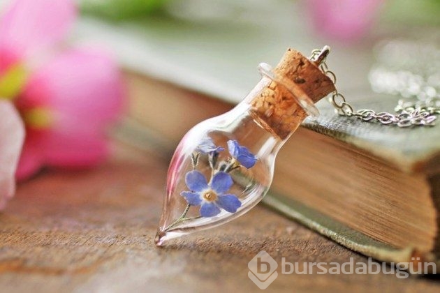 &#8203;20 fotoğrafla teraryumdan takılar
