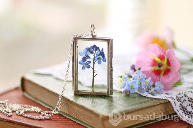 &#8203;20 fotoğrafla teraryumdan takılar
