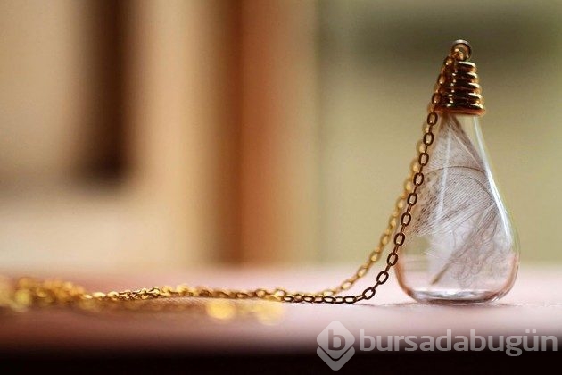 &#8203;20 fotoğrafla teraryumdan takılar
