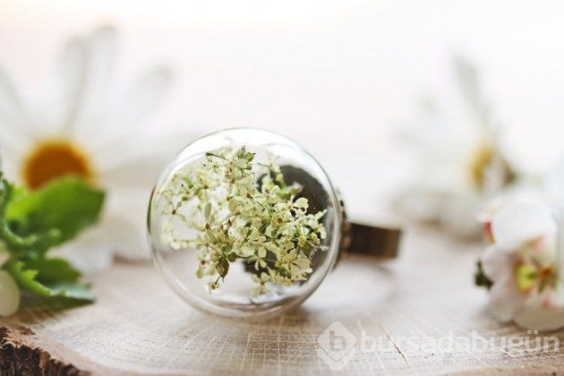&#8203;20 fotoğrafla teraryumdan takılar
