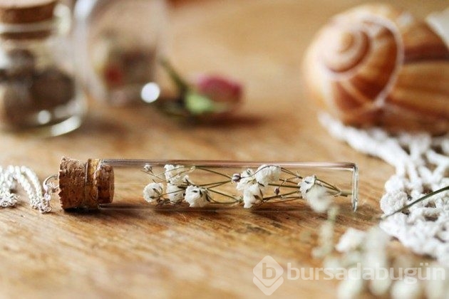 &#8203;20 fotoğrafla teraryumdan takılar
