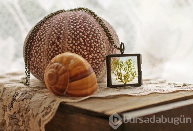 &#8203;20 fotoğrafla teraryumdan takılar

