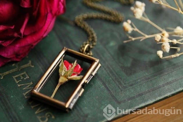 &#8203;20 fotoğrafla teraryumdan takılar
