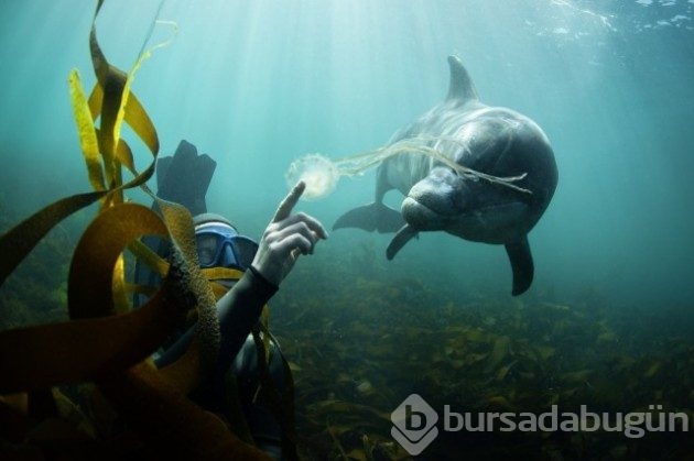 Adrenalin &acirc;şıklarının bayılacağı 12 fotoğraf

