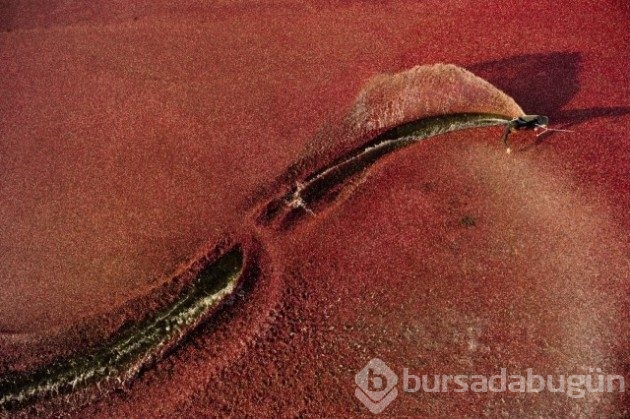 Adrenalin &acirc;şıklarının bayılacağı 12 fotoğraf
