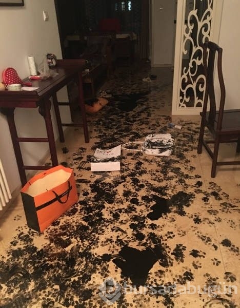 Evde yalnız kalınca...