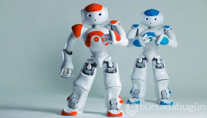 İnsanlar robotlar ile cinsel deneye sokuldu