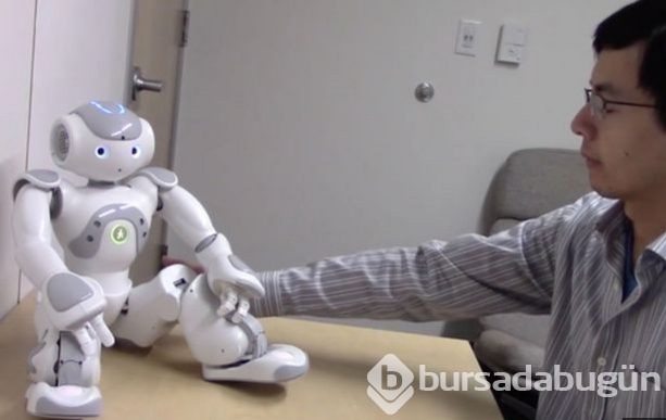 İnsanlar robotlar ile cinsel deneye sokuldu