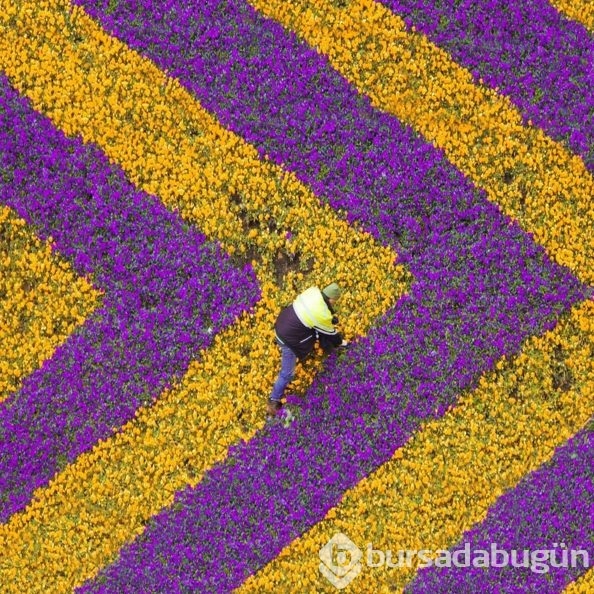 İstanbul'un renkli yüzünü dünyaya gösteren Türk 