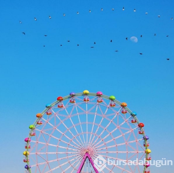 İstanbul'un renkli yüzünü dünyaya gösteren Türk 
