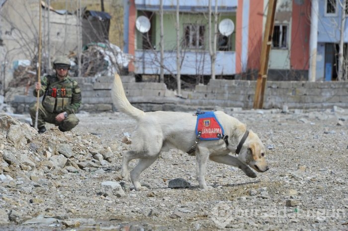 Nusaybin'de patlayıcılar özel birlik tarafından tespit edilerek, imha ediliyor	
