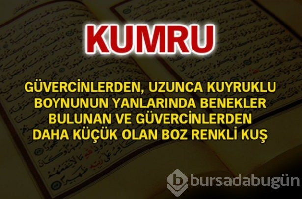 Kuran-ı Kerim'de geçen isimler ve anlamları