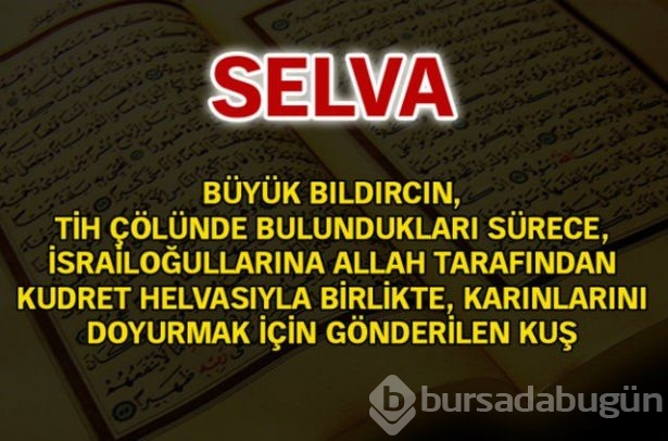 Kuran-ı Kerim'de geçen isimler ve anlamları