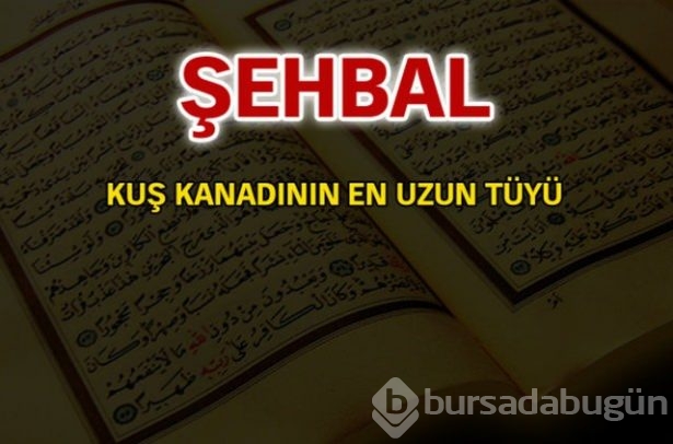 Kuran-ı Kerim'de geçen isimler ve anlamları