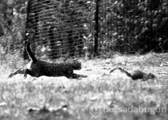 En çok tıklanan fotoğraflar