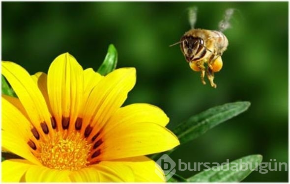 En çok tıklanan fotoğraflar