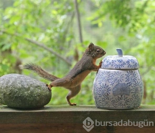 En çok tıklanan fotoğraflar