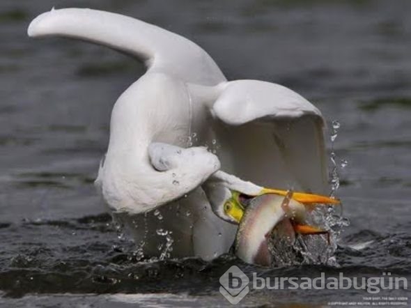 En çok tıklanan fotoğraflar
